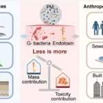 Bacteriële endotoxines als krachtige, laag-massa veroorzakers van PM₂.₅-toxiciteit, blijkt uit monsteronderzoek