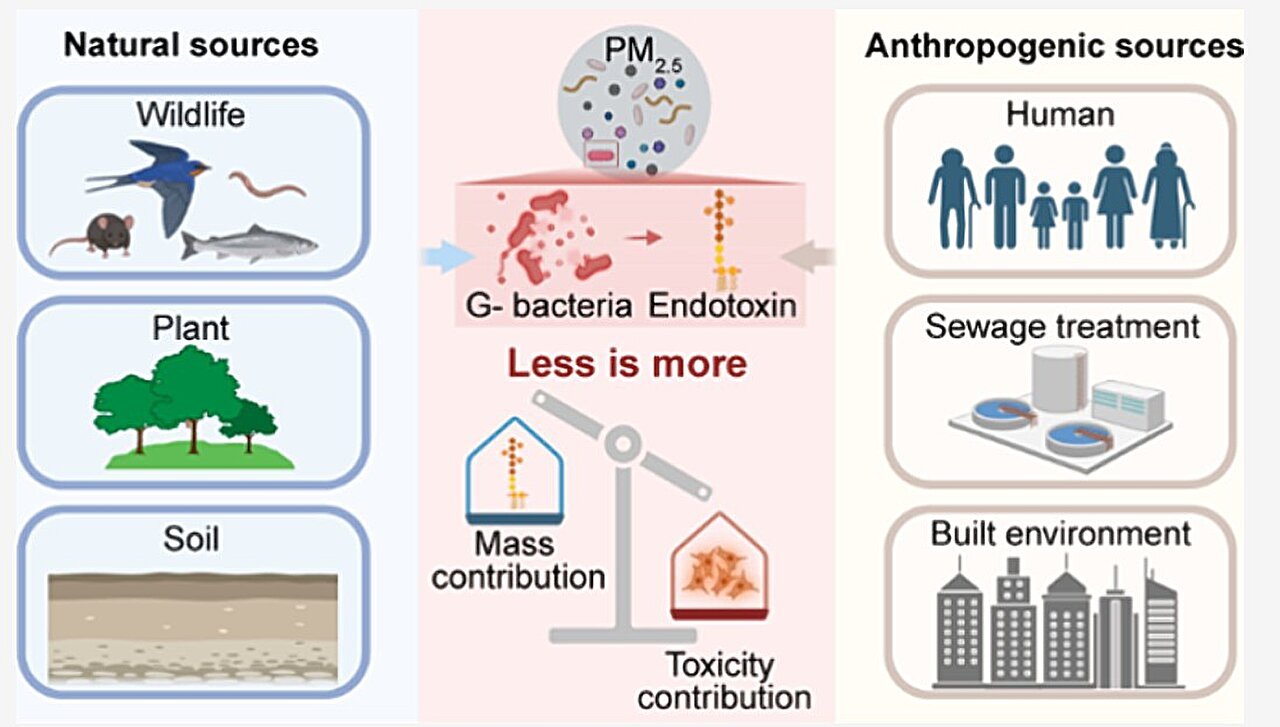 Bacteriële endotoxines als krachtige, laag-massa veroorzakers van PM₂.₅-toxiciteit, blijkt uit monsteronderzoek