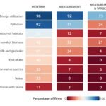 Bedrijfsrapporten schieten tekort in het beoordelen van de gezondheid van de oceanen, volgens nieuwe analyse