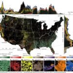 Belangrijke Verandering in het Amerikaanse Landschap: 'Natuurlijke' Verstoringen Overtreffen Menselijke Invloeden