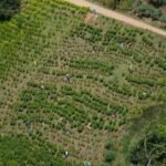 Colombiaanse krijgsmacht redt 27 ontvoerde soldaten, tientallen blijven gevangen