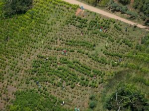 Colombiaanse krijgsmacht redt 27 ontvoerde soldaten, tientallen blijven gevangen