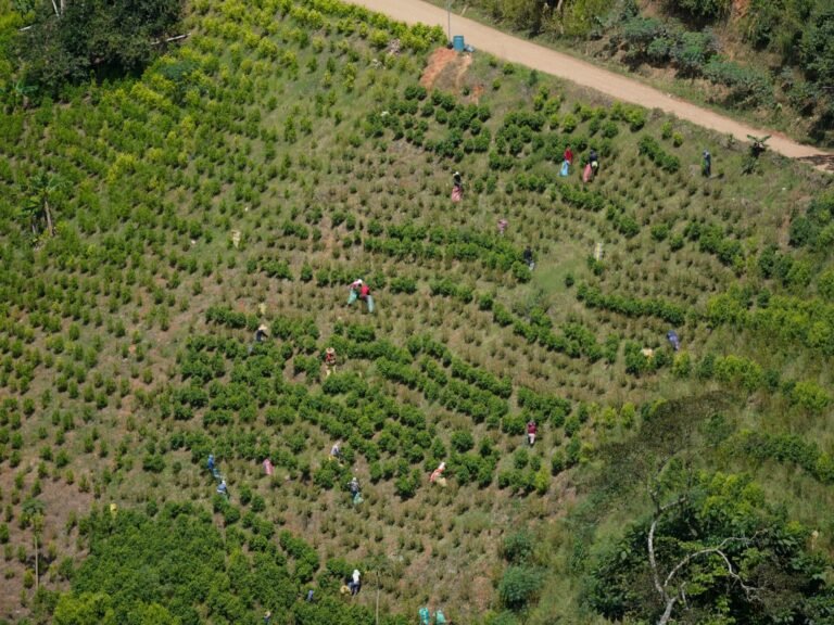 Colombiaanse krijgsmacht redt 27 ontvoerde soldaten, tientallen blijven gevangen