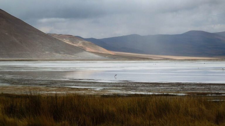 De Dichtheid van Water Cruciaal voor Duurzame Lithiumwinning, Onderzoek Toont Aan