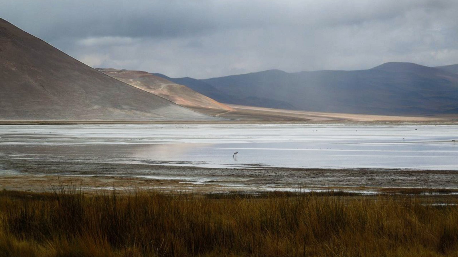 De Dichtheid van Water Cruciaal voor Duurzame Lithiumwinning, Onderzoek Toont Aan