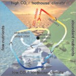 Fout in koolstofcyclus kan Aarde in een ijstijd duwen door overcorrectie voor opwarming