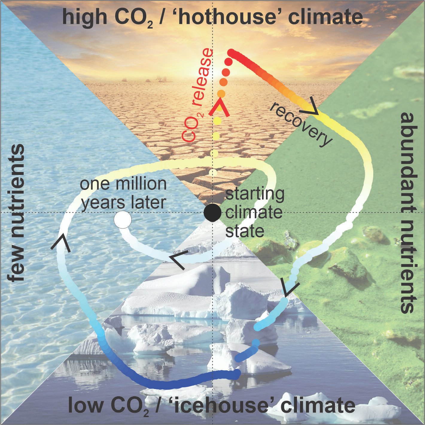 Fout in koolstofcyclus kan Aarde in een ijstijd duwen door overcorrectie voor opwarming