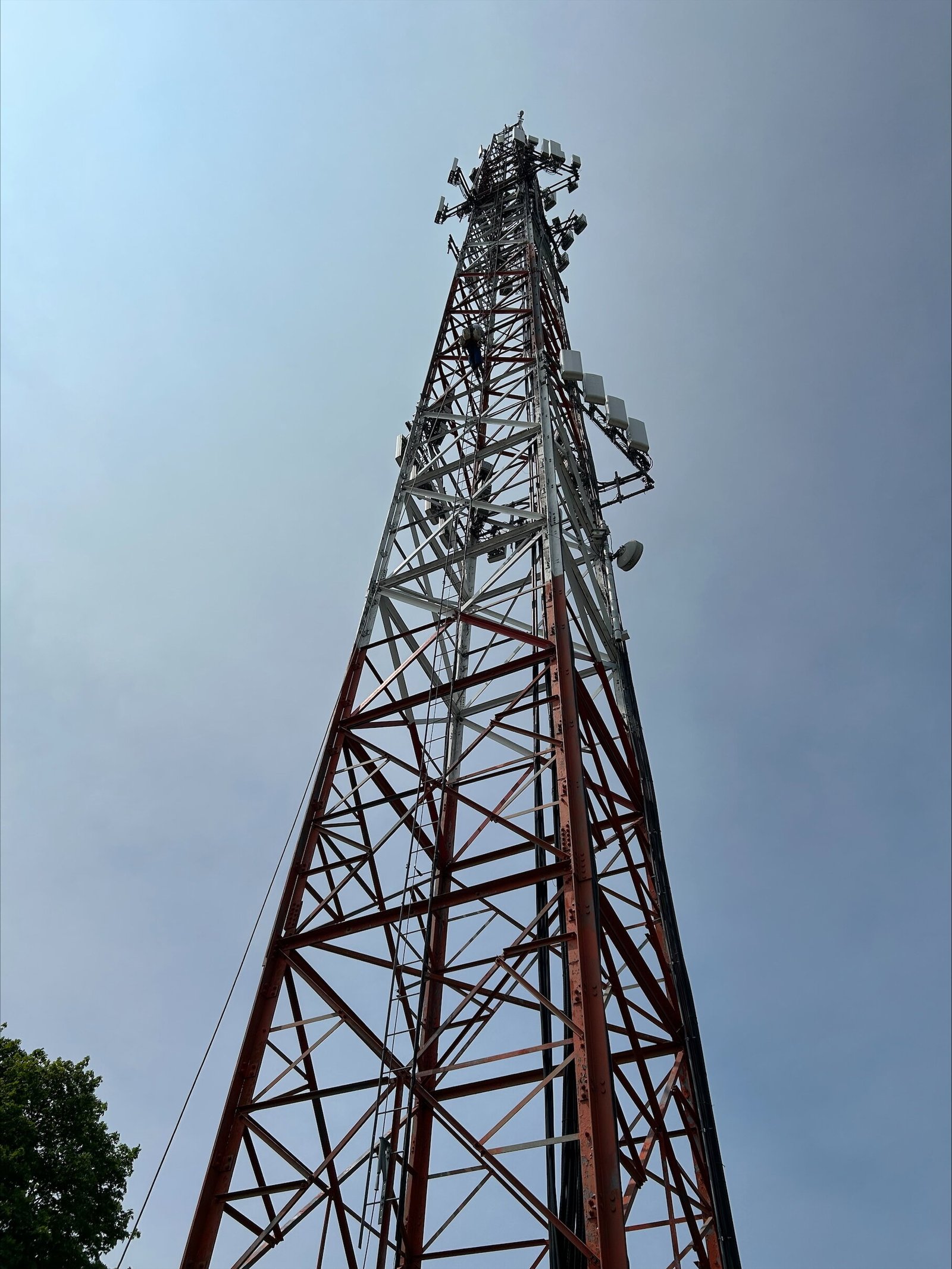 Frequentere bosbranden en hitte verergeren luchtkwaliteitsproblemen in Amerikaanse megasteden