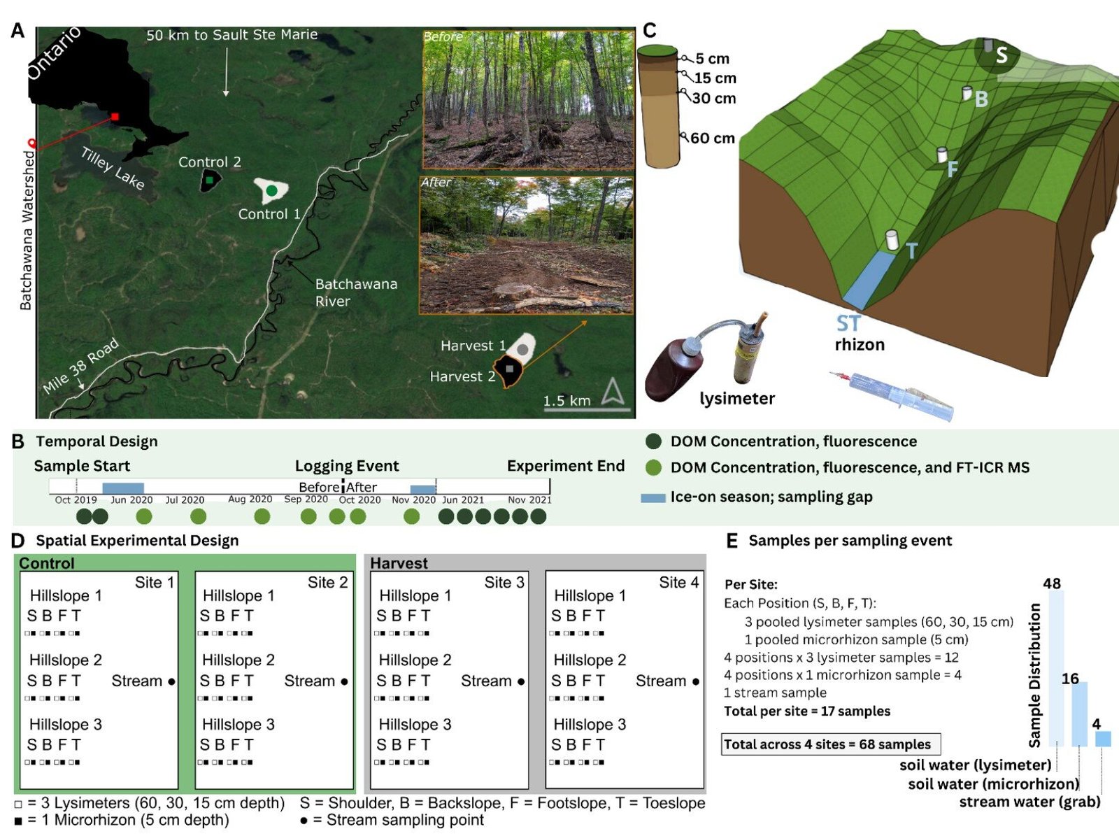 Grondafvloeiing uit gekapte bossen stoot reactiever koolstof uit en ondermijnt klimaatmaatregelen