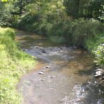 Hittegolven in Amerikaanse rivieren stijgen tot vier keer sneller dan luchthittegolven, analyse toont aan