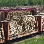 Hoe Hout Weer Geweldig Te Maken: Trump Voert Tarief In op Meubels, Hout en Timber