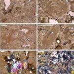 Hoe de Rode Zee volledig opdroogde voordat deze meer dan 6 miljoen jaar geleden door de Indische Oceaan werd overspoeld