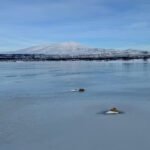 IJs lost ijzer sneller op dan vloeibaar water, verklaring voor roestige rivieren in het Arctisch gebied
