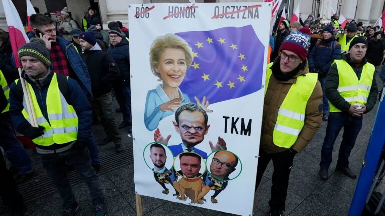 Linkse Europarlementariërs Dringen Aan op Uitdaging van Mercosur-Deal Bij EU-Hof