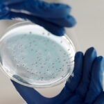MIT-wetenschappers gebruiken AI voor de ontwikkeling van nieuwe antibiotica tegen hardnekkige gonorroe en MRSA