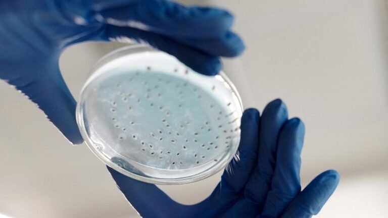 MIT-wetenschappers gebruiken AI voor de ontwikkeling van nieuwe antibiotica tegen hardnekkige gonorroe en MRSA