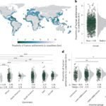 Meer dan de helft van de kustgemeenschappen wereldwijd trekt zich terug door stijgende zeespiegel, blijkt uit studie