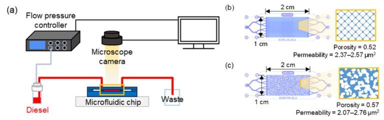 Microfluidica toont aan dat hydrofiele oppervlakken meer olie vasthouden dan hydrofobe oppervlakken voor grondwaterremediatie