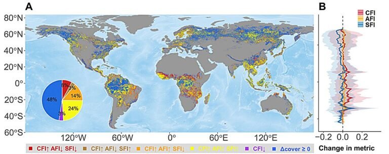 Nieuwe gegevens tonen aan dat de habitatfragmentatie in meer dan de helft van de wereldwijde bossen in de afgelopen 20 jaar is toegenomen