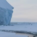 Noordelijke Winden als Belangrijkste Factor voor het Verlies van Antarctisch IJs