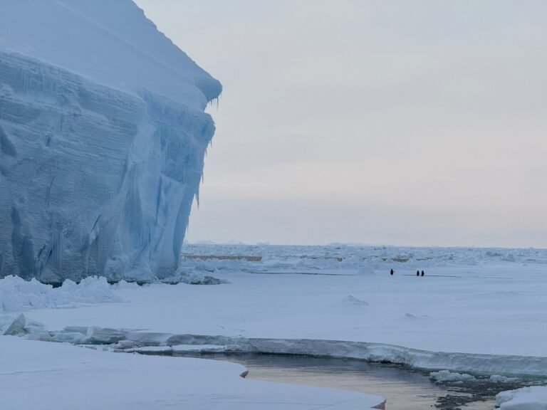 Noordelijke Winden als Belangrijkste Factor voor het Verlies van Antarctisch IJs