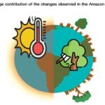 Ontbossing verlaagt neerslag met 74% en verhoogt temperaturen met 16% in het Amazonegebied tijdens het droogseizoen, aldus studie