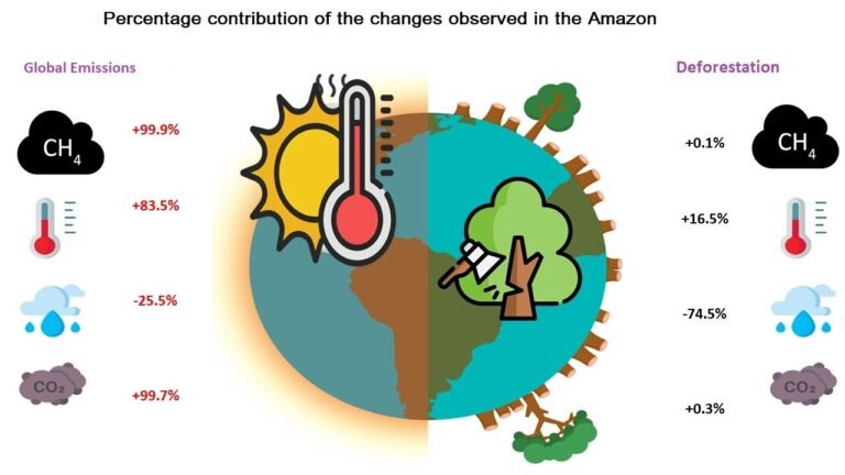 Ontbossing verlaagt neerslag met 74% en verhoogt temperaturen met 16% in het Amazonegebied tijdens het droogseizoen, aldus studie