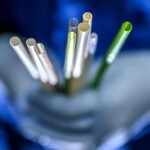 Op zoek naar een milieuvriendelijke rietje? Dit is de verrassende oplossing!