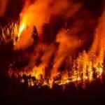 Rook van de branden in Canada 2023 gekoppeld aan duizenden sterfgevallen: studie