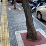 Stedelijke hitteverlichting: Bomen hebben water en ruimte nodig voor optimale koeling, blijkt uit onderzoek