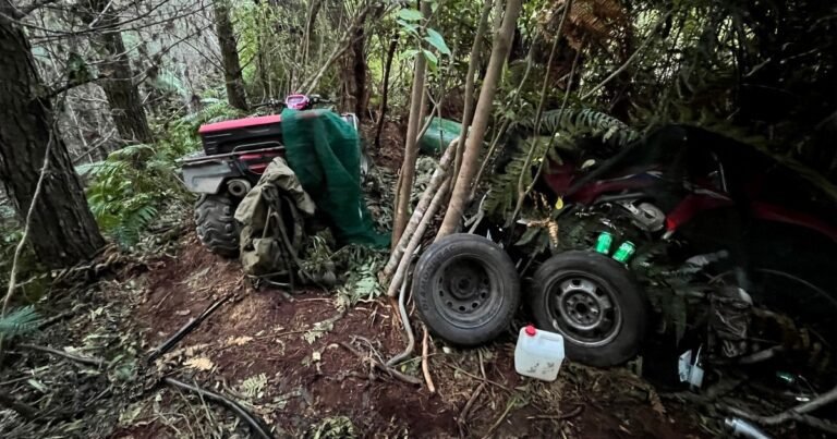 Vader uit Nieuw-Zeeland met verborgen wapenarsenaal in bushland omgebracht