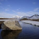 Verwarming van 2°C Versterkt Koolstofput in de Arctische Regio, Maar Verzwakt Alpenput, Studie Toont Aan