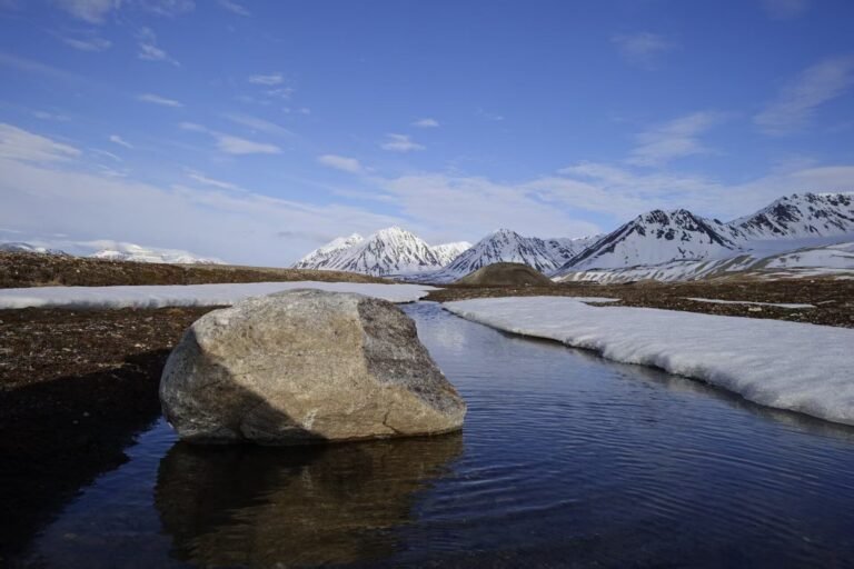 Verwarming van 2°C Versterkt Koolstofput in de Arctische Regio, Maar Verzwakt Alpenput, Studie Toont Aan
