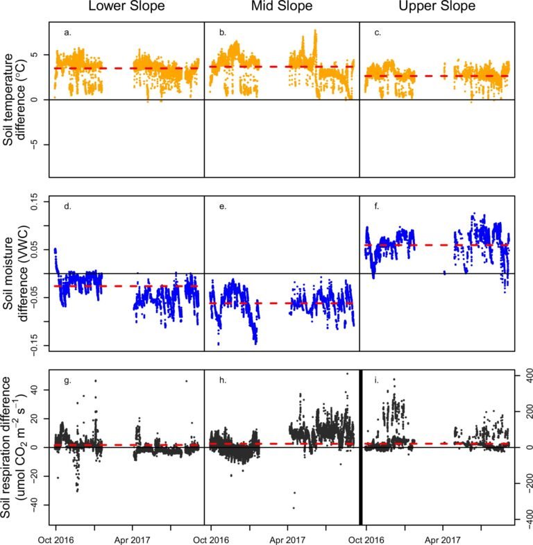 Vochtige bodem van tropische regenwouden kan klimaatverandering versnellen bij opwarming van de aarde