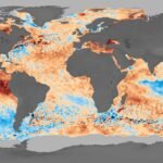 Zee-koolstofput verzwakt: 10% daling in CO₂-opname tijdens record marine hittegolf van 2023