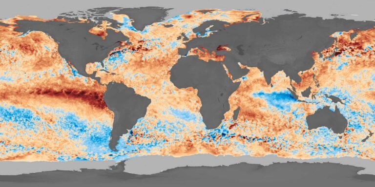 Zee-koolstofput verzwakt: 10% daling in CO₂-opname tijdens record marine hittegolf van 2023