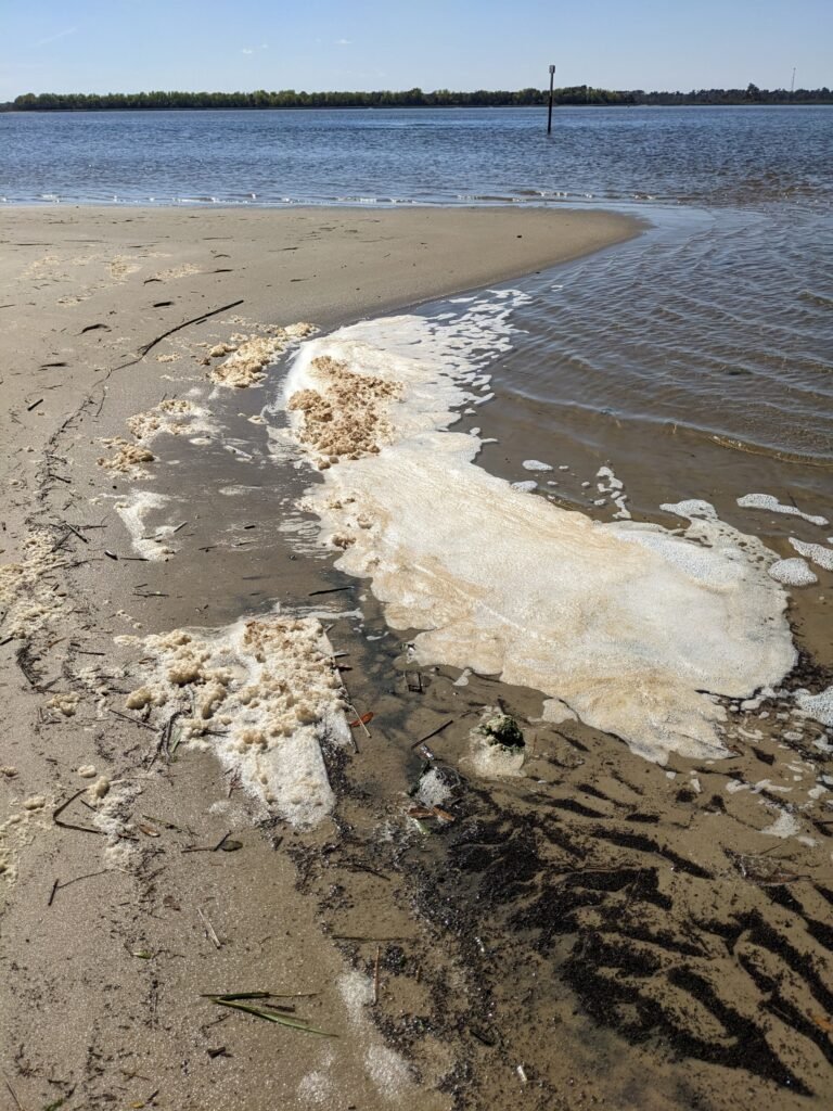 Zeeschuim bevat aanzienlijk meer PFAS dan het water eronder, blijkt uit onderzoek