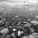 Antarctisch zee-ijs bereikt derde laagste wintermaximum ooit gemeten