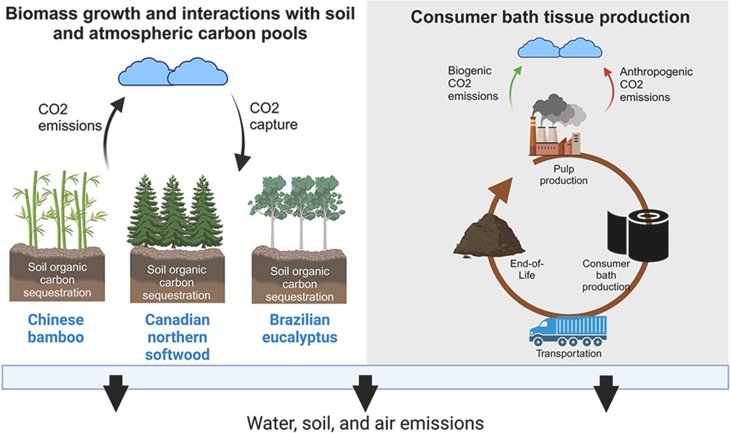 Bamboe Tissuepapier: Is het Echt Zo Milieuvriendelijk Als Je Denkt?