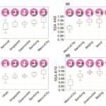 Contrasterende optische eigenschappen van fijnstof in Seoel en Mexico-Stad benadrukken de klimaatimpact