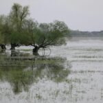 Cul-de-sac Effect: Waarom Mediterrane Regio's Meer Kwetsbaar Worden voor Extreme Overstromingen door Klimaatverandering