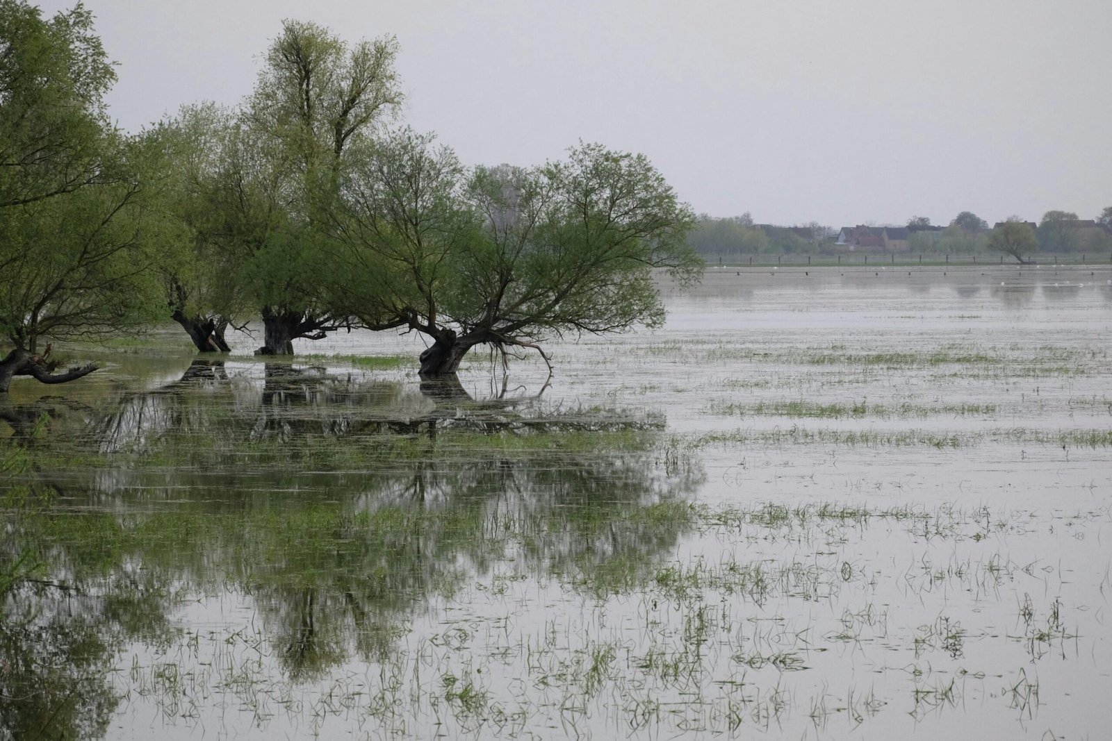 Cul-de-sac Effect: Waarom Mediterrane Regio's Meer Kwetsbaar Worden voor Extreme Overstromingen door Klimaatverandering
