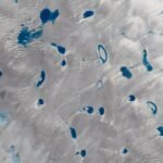De Toekomst van het Antarctische IJs: Nieuwe Studie Onthult de Wiskunde van Smeltwatermeren