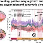 De 'saai miljard jaren' van de aarde creëerden de voorwaarden voor complexe levensvormen, blijkt uit onderzoek