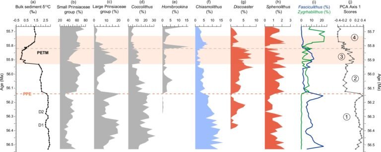 Diepzee sedimentmonsters onthullen belangrijke ecologische veranderingen voor het opwarmingsgebeuren van 56 miljoen jaar geleden