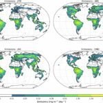 Diterpenen uit bomen vormen aerosolen, wat leidt tot aanpassingen in atmosferische modellen