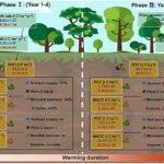 Gematigde opwarming bedreigt mogelijk de koolstofopslag in vochtige subtropische bossen niet