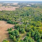  Gepensioneerde landbouwgronden bieden hoop voor koolstofopslag