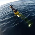 Hoe mariene hittegolven de voedselwebben in de oceaan beïnvloeden en het transport van koolstof in de diepe zee vertragen