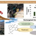 Illegale cannabisplantages veroorzaken blijvende chemische schade aan de openbare gronden van Californië